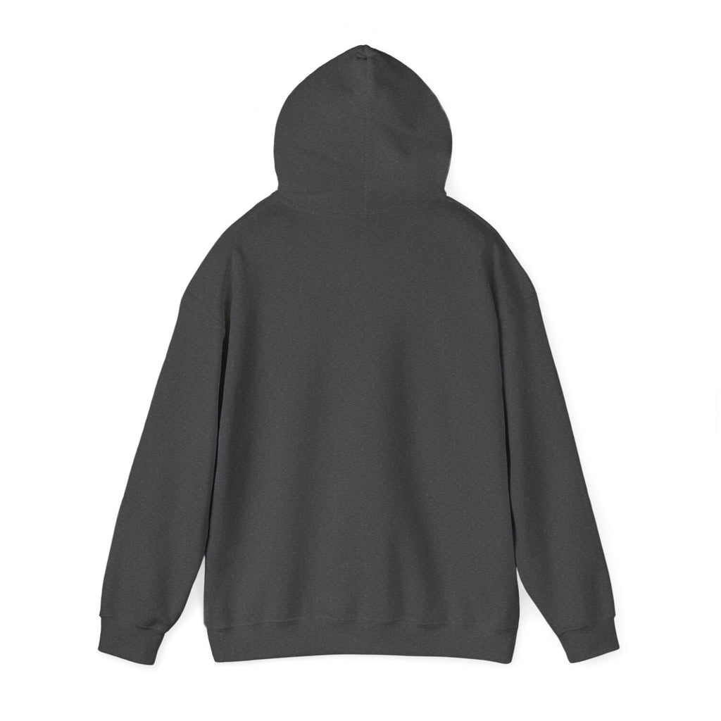 "Bismillah c'est les ténèbres" Hoodie